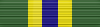 Texas Homeland Defense Service Medal